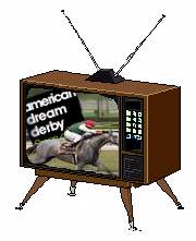 American Dream Derby on TV