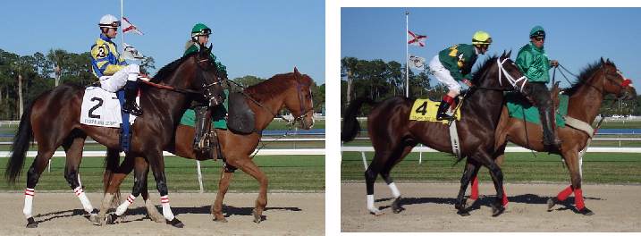 Tampa Bay Derby post parade, #2 Street Sense; #4 Any Given Saturday