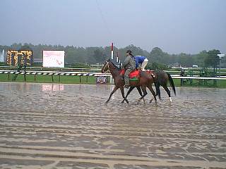 Schuylerville sloppy post parade