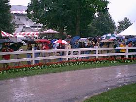 Umbrellas up