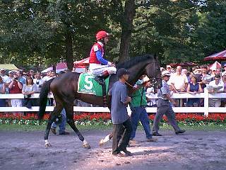 Medaglia d'Oro in paddock