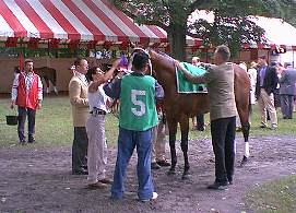 Pletcher and Harlan's Holiday