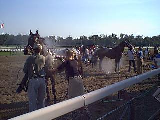 Post-race hosedown