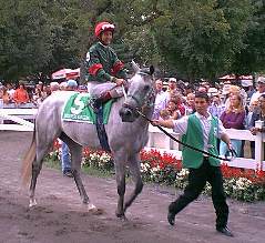 Silver Wagon and Jerry Bailey