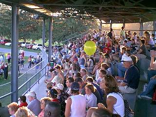 Fans enjoy the game