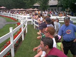 paddock buffer fence