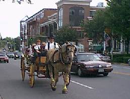 Carriage on Broadway