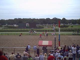 Mascot race