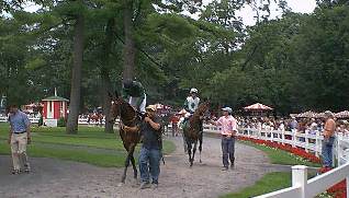 Paddock before race 2