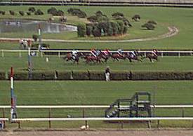 Race 2