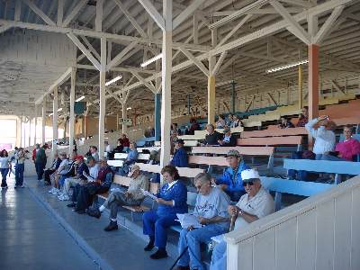 Grandstand fans