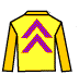 racetrack silks