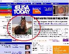 USA Today, web frontpage, 1/29/07