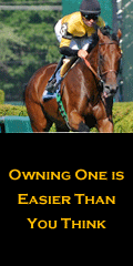 Visit www.westpointtb.com